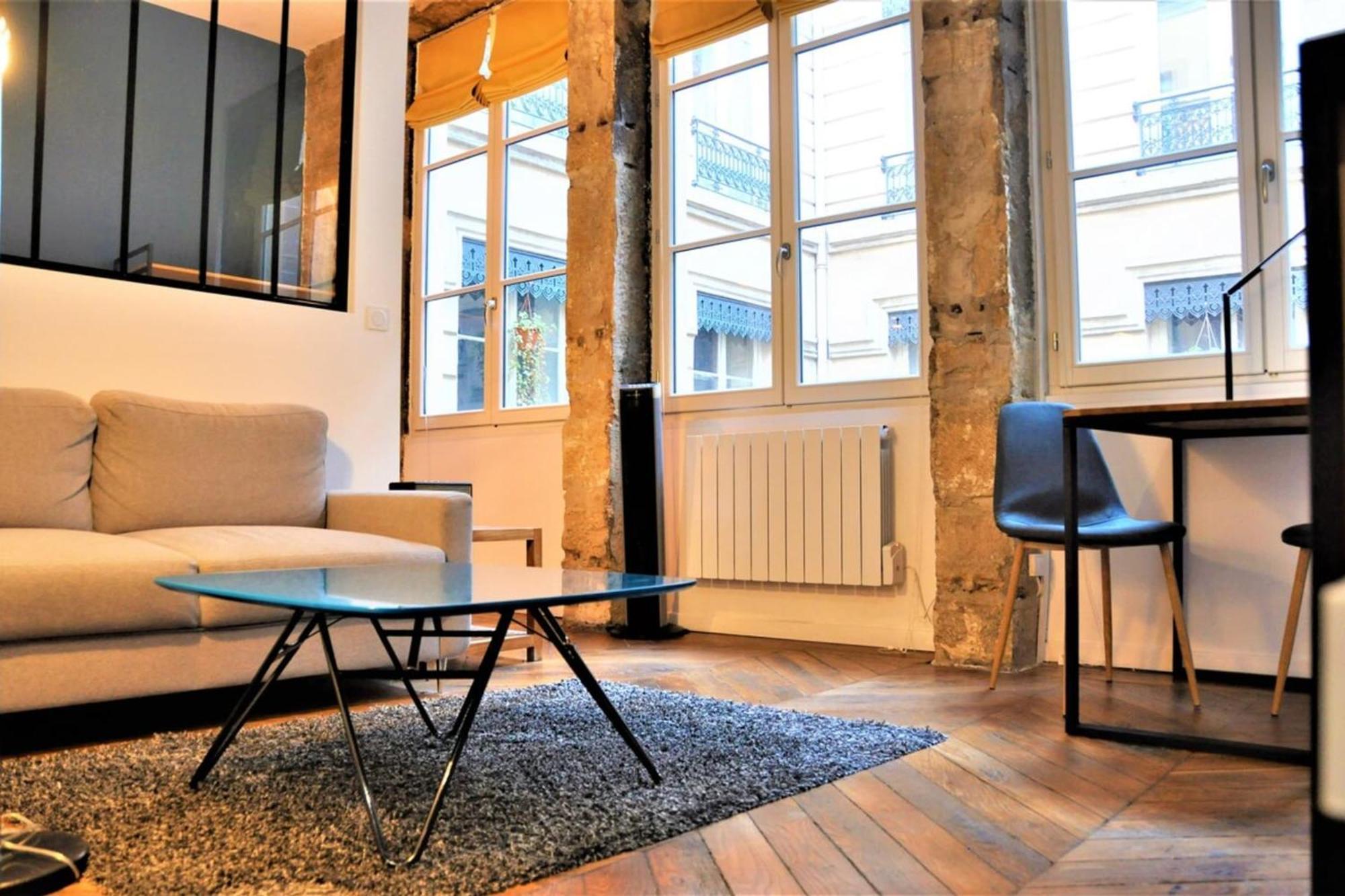 Le Bleu Hypercentre Presque Ile Apartment Lyon Ngoại thất bức ảnh