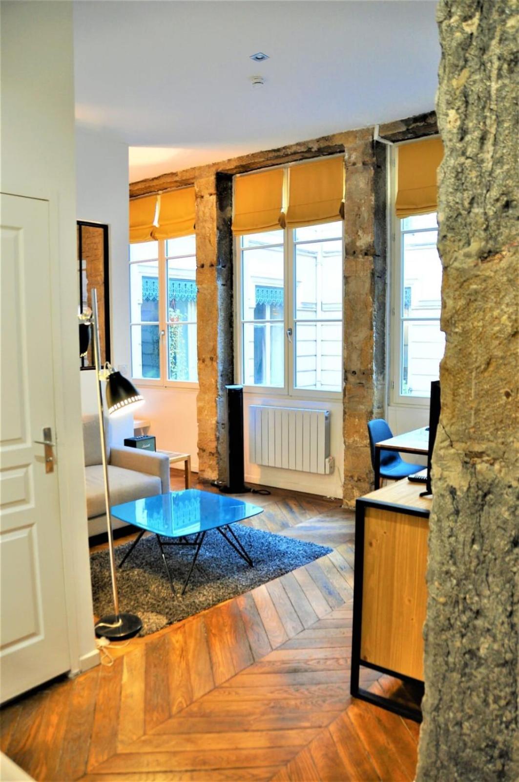Le Bleu Hypercentre Presque Ile Apartment Lyon Ngoại thất bức ảnh